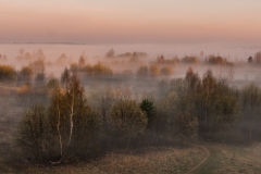 IMGP0907-4