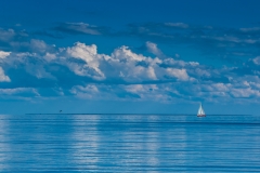 IMGP6728