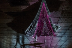 AndriusPavelko-ChristmasTree