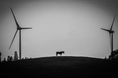 IMG_4304