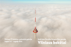 Vilniaus Bokstai paroda Andrius Pavelko